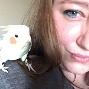 Meet your Posher, Bailey